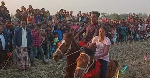 পার্বতীপুরে ঘোড় দৌড় প্রতিযোগিতা ২০২৪ অনুষ্ঠিত