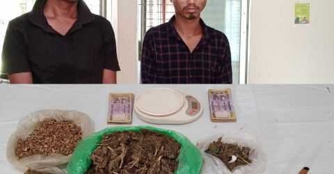 পার্বতীপুরে গাঁজাসহ বাবা ও ছেলে গ্রেপ্তার